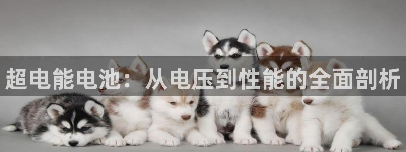 k豆钱包是什么软件：超电能电池：从电压到性能的全面剖析