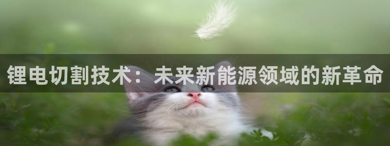 k豆钱包官网：锂电切割技术：未来新能源领域的新革命