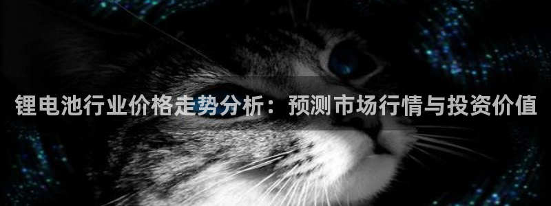 k豆钱包下载安卓：锂电池行业价格走势分析：预测市场行情与投资价值