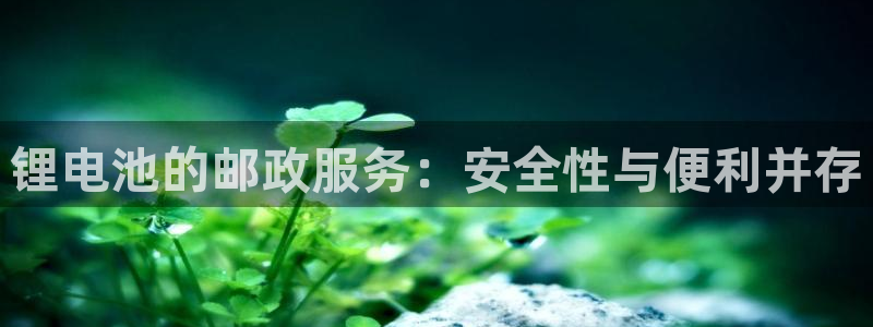 k豆钱包靠谱吗：锂电池的邮政服务：安全性与便利并存