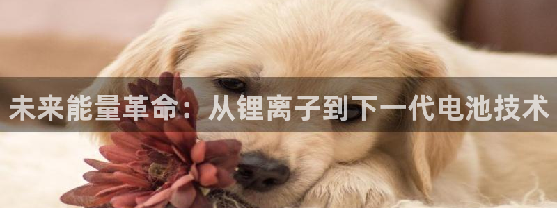 k豆钱包地址：未来能量革命：从锂离子到下