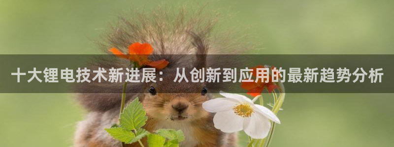 k豆钱包里面搬砖怎么玩：十大锂电技术新进