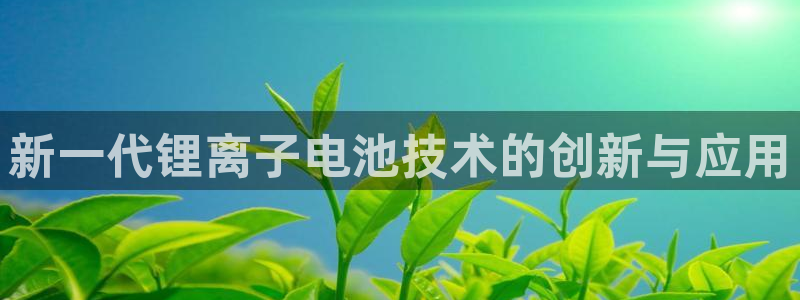 k豆钱包下载入口：新一代锂离子电池技术的创新与应用