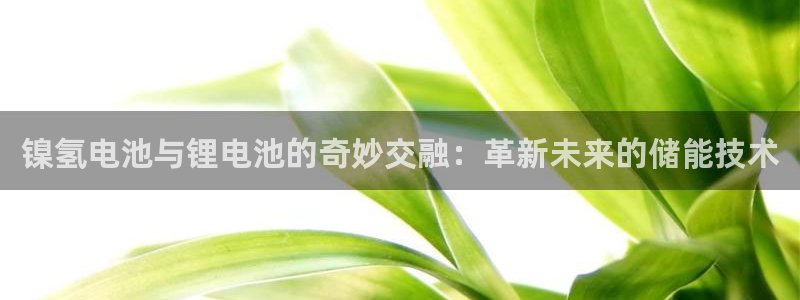 最新k豆钱包：镍氢电池与锂电池的奇妙交融：革新未来的储能技术