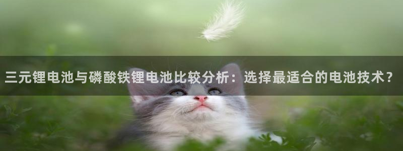 k豆钱包怎么下载：三元锂电池与磷酸铁锂电池比较分析：选择最适合的电池技术？