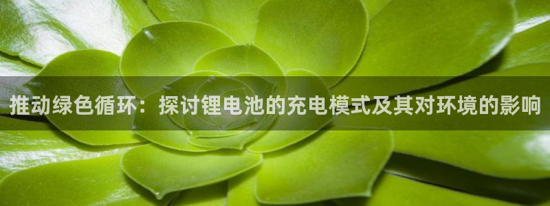 下载k豆钱包安装到手机：推动绿色循环：探讨锂电池的充电模式及其对环境的影响