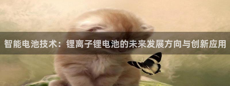 k豆支付钱包下载安装
